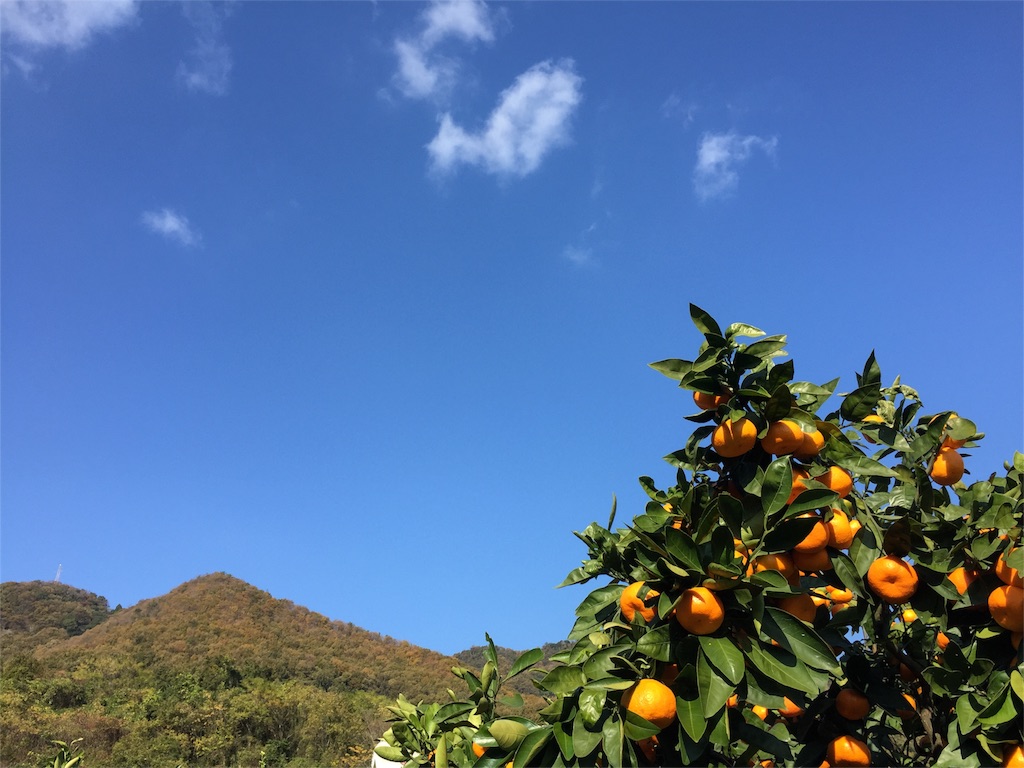 f:id:odayakabiyori:20151201224317j:image f:id:odayakabiyori:20151201224317j:image