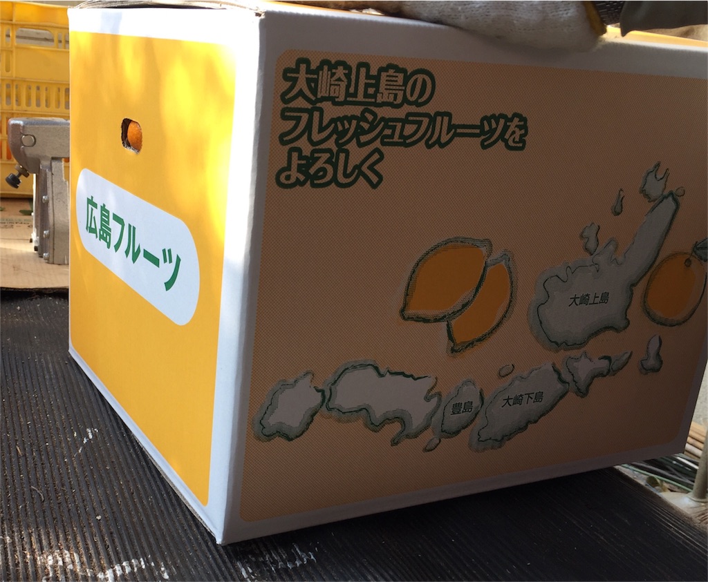 f:id:odayakabiyori:20151202063451j:image f:id:odayakabiyori:20151202063451j:image