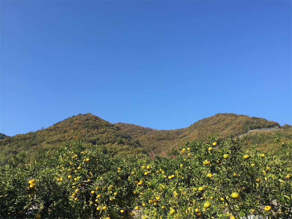 f:id:odayakabiyori:20151202065216j:image f:id:odayakabiyori:20151202065216j:image