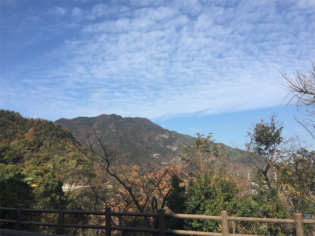 f:id:odayakabiyori:20151221162833j:image f:id:odayakabiyori:20151221162833j:image