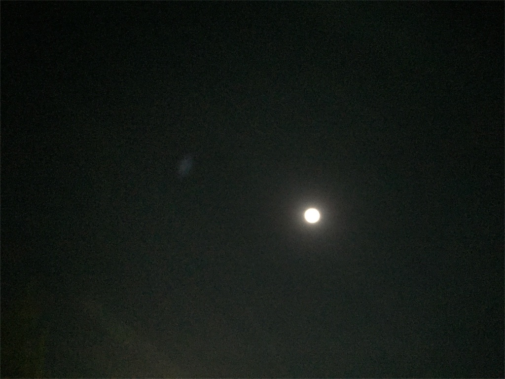 f:id:odayakabiyori:20151226142741j:image f:id:odayakabiyori:20151226142741j:image
