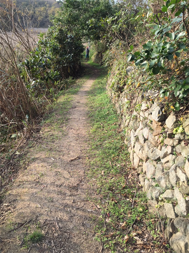 f:id:odayakabiyori:20151228204607j:image f:id:odayakabiyori:20151228204607j:image