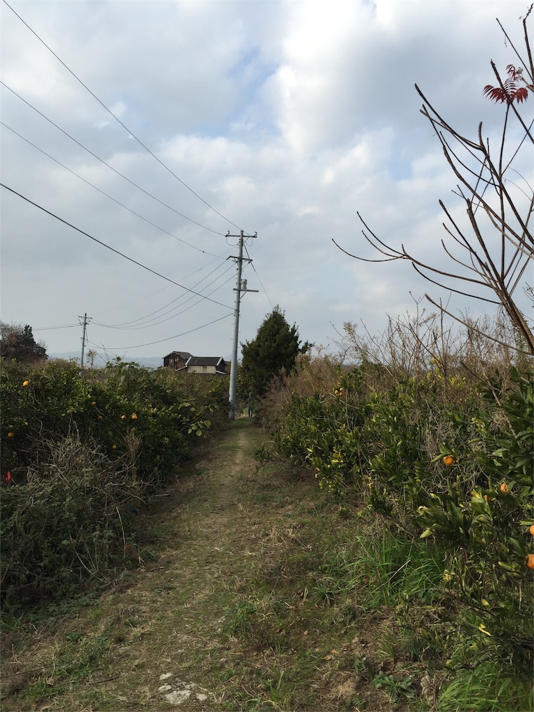 f:id:odayakabiyori:20151228212002j:image f:id:odayakabiyori:20151228212002j:image