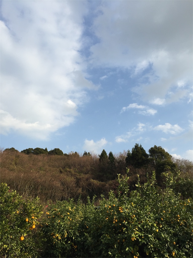 f:id:odayakabiyori:20151228212156j:image f:id:odayakabiyori:20151228212156j:image
