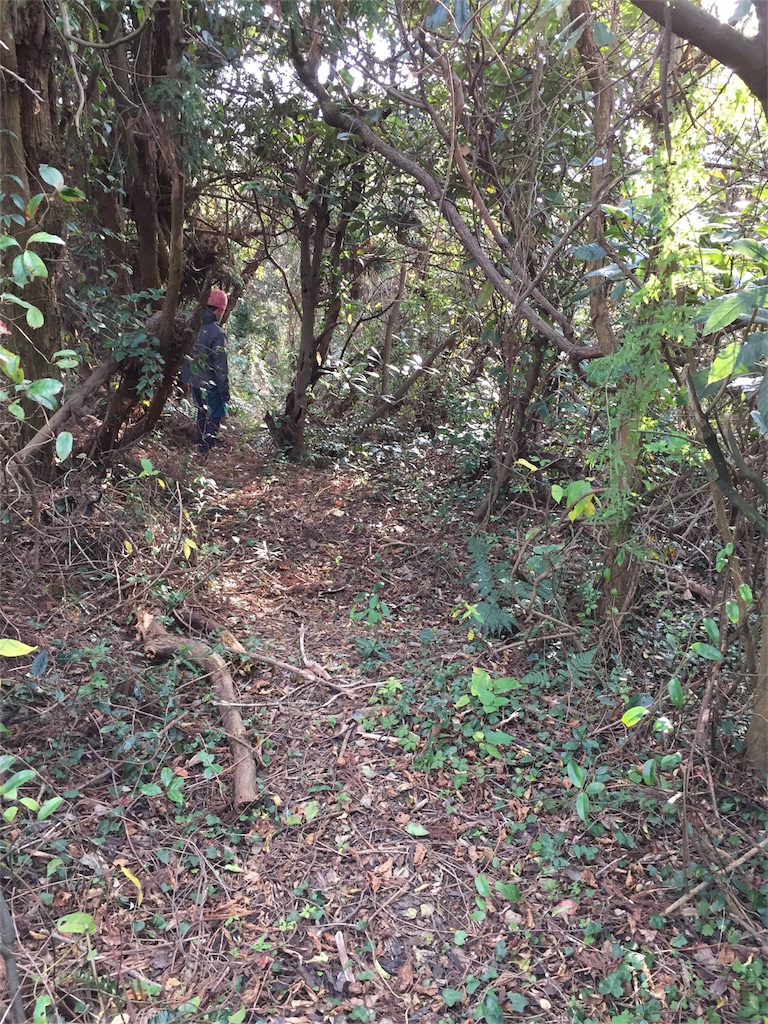 f:id:odayakabiyori:20151228215653j:image f:id:odayakabiyori:20151228215653j:image