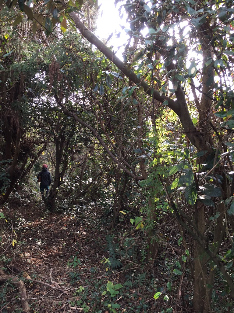 f:id:odayakabiyori:20151229102642j:image f:id:odayakabiyori:20151229102642j:image