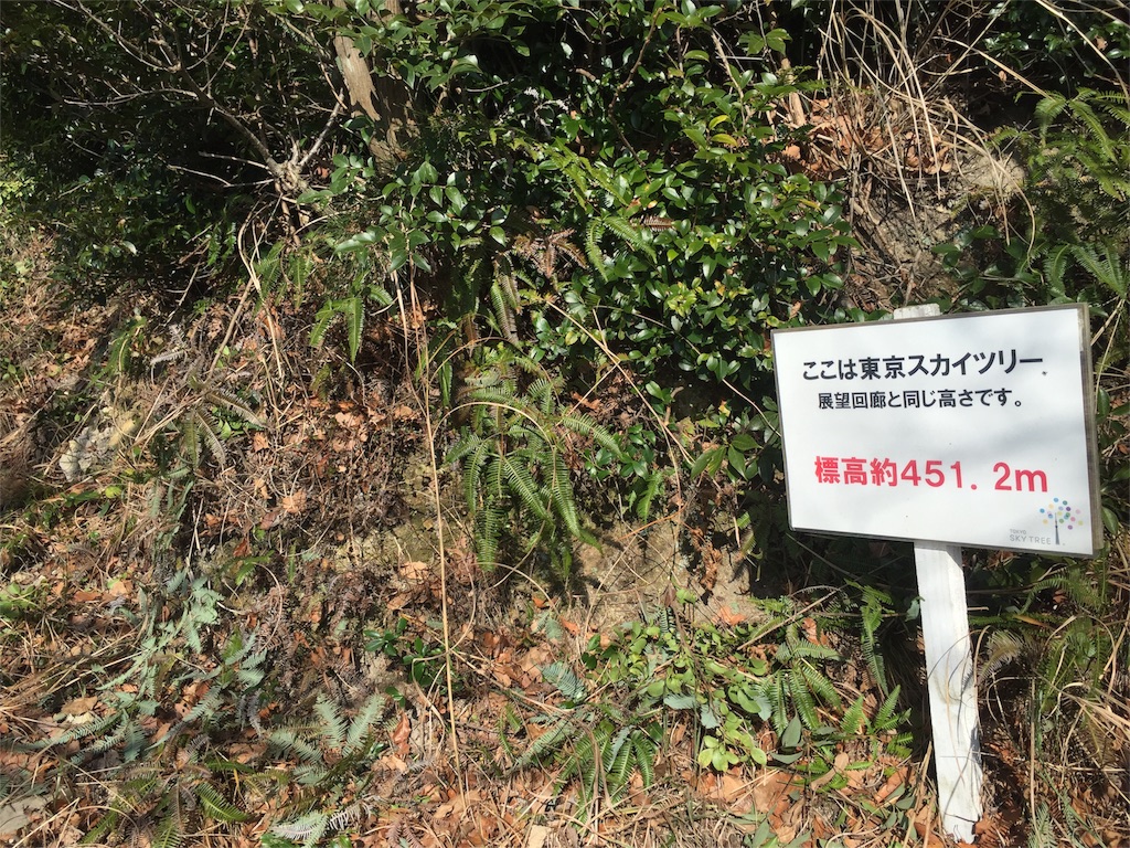 f:id:odayakabiyori:20160101163217j:image f:id:odayakabiyori:20160101163217j:image