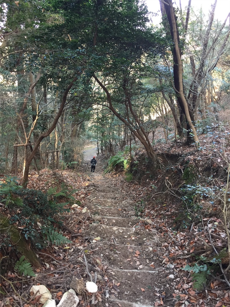 f:id:odayakabiyori:20160101163619j:image f:id:odayakabiyori:20160101163619j:image