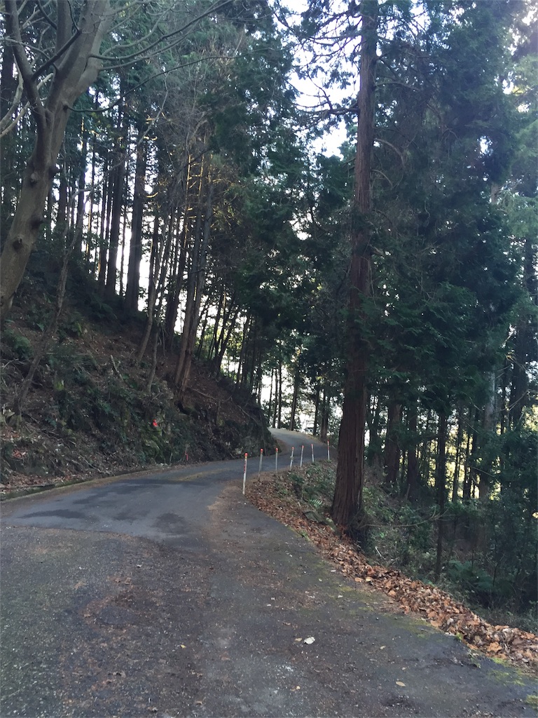 f:id:odayakabiyori:20160101163701j:image f:id:odayakabiyori:20160101163701j:image
