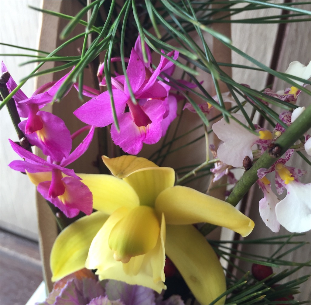 f:id:odayakabiyori:20160123110321j:image f:id:odayakabiyori:20160123110321j:image