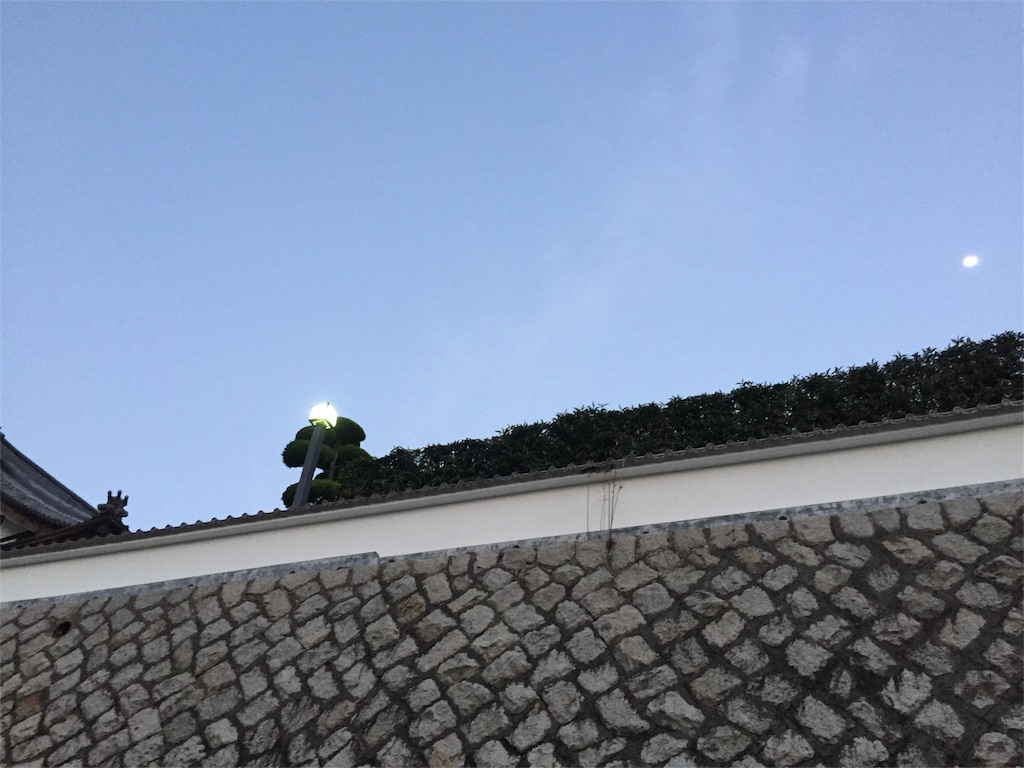 f:id:odayakabiyori:20160319211352j:image f:id:odayakabiyori:20160319211352j:image