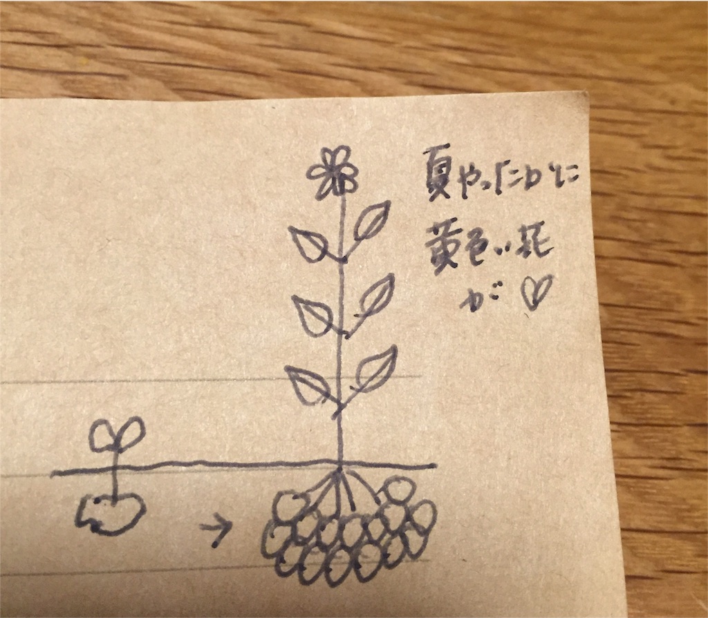 f:id:odayakabiyori:20160323184744j:image f:id:odayakabiyori:20160323184744j:image