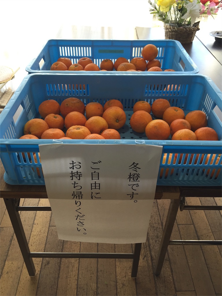 f:id:odayakabiyori:20160326122703j:image f:id:odayakabiyori:20160326122703j:image