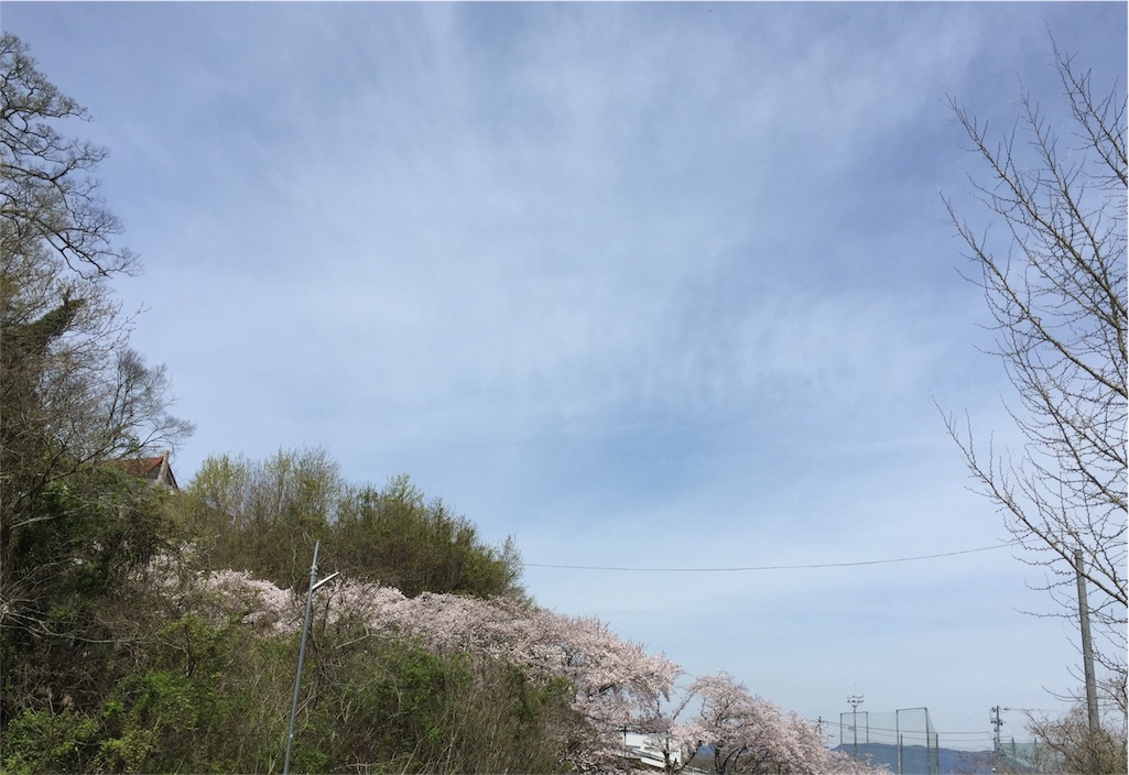 f:id:odayakabiyori:20160407095956j:image f:id:odayakabiyori:20160407095956j:image