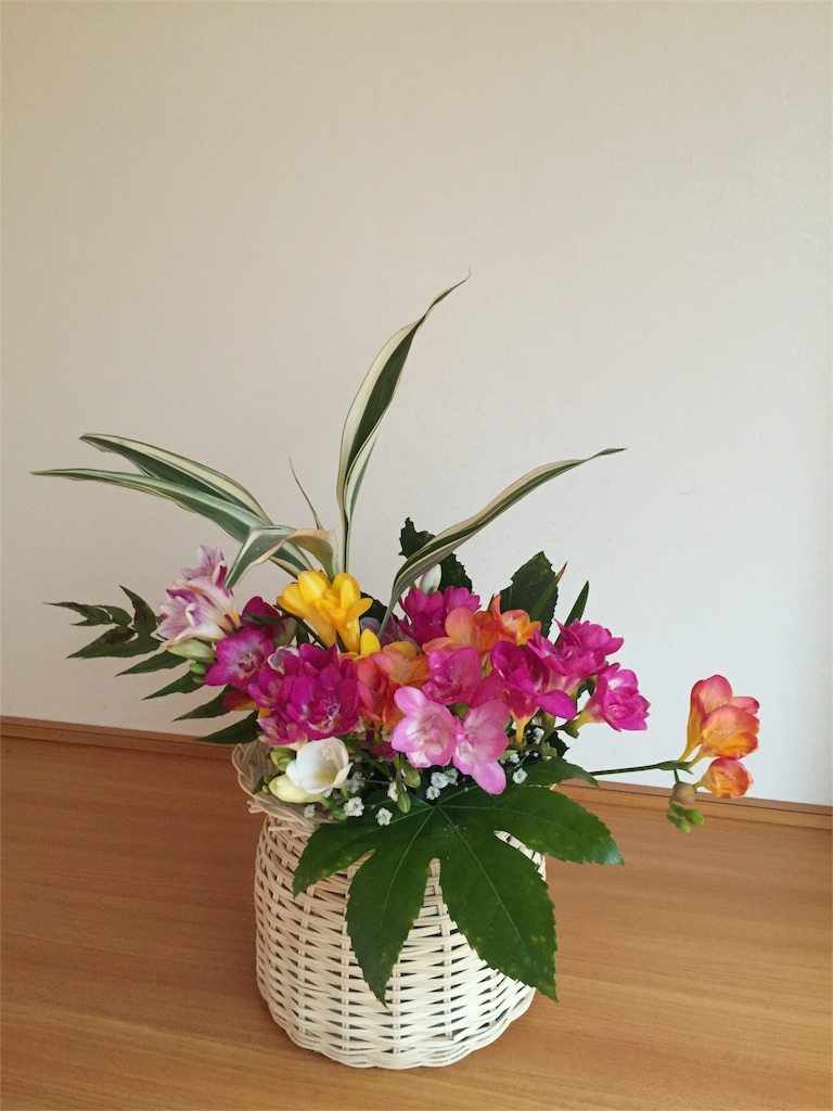 f:id:odayakabiyori:20160414152726j:image f:id:odayakabiyori:20160414152726j:image