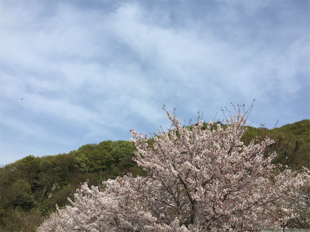 f:id:odayakabiyori:20160414162324j:image f:id:odayakabiyori:20160414162324j:image