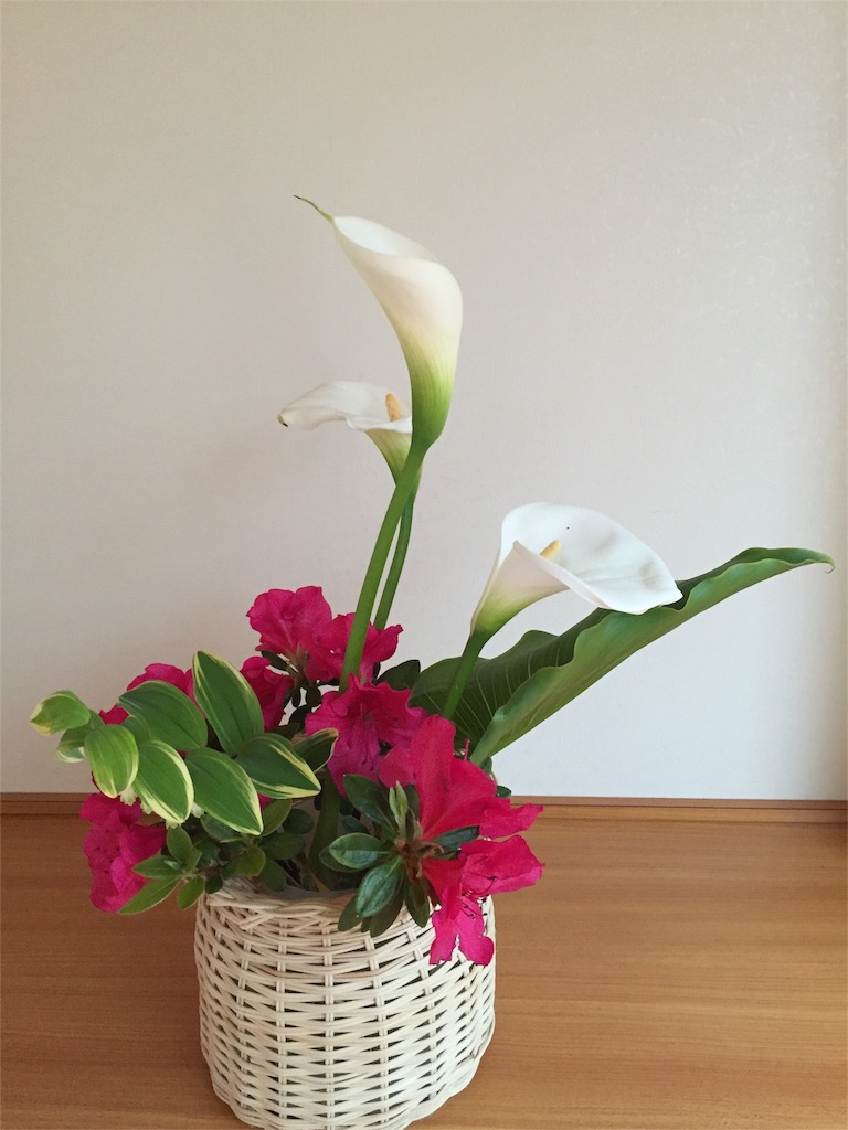 f:id:odayakabiyori:20160422153406j:image f:id:odayakabiyori:20160422153406j:image