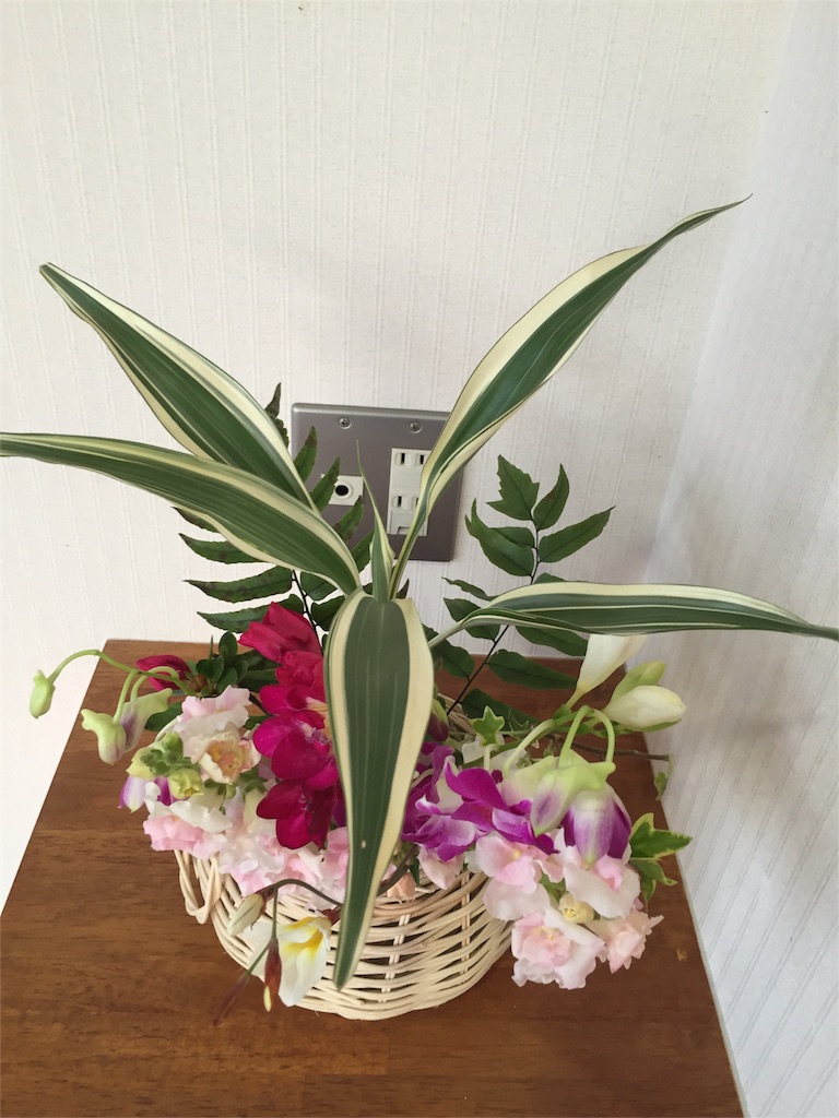 f:id:odayakabiyori:20160422170525j:image f:id:odayakabiyori:20160422170525j:image