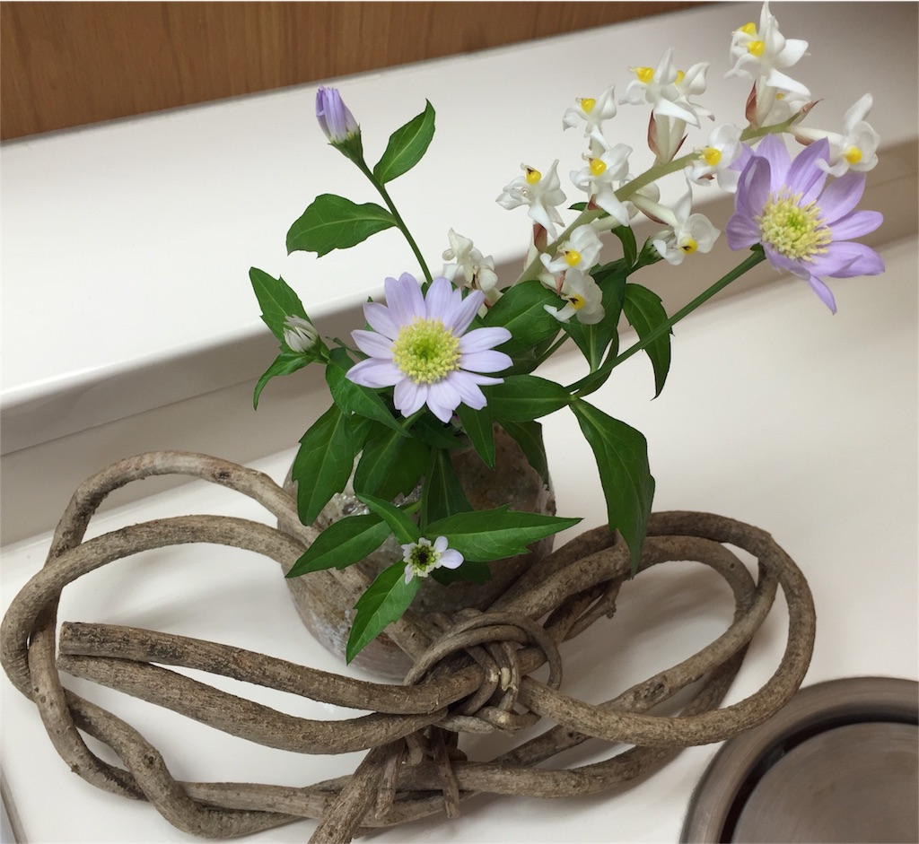 f:id:odayakabiyori:20160429134303j:image f:id:odayakabiyori:20160429134303j:image