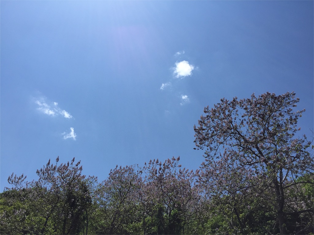 f:id:odayakabiyori:20160429140033j:image f:id:odayakabiyori:20160429140033j:image