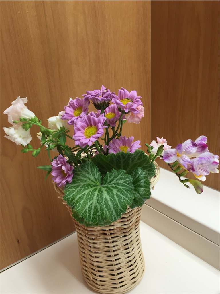 f:id:odayakabiyori:20160429141526j:image f:id:odayakabiyori:20160429141526j:image