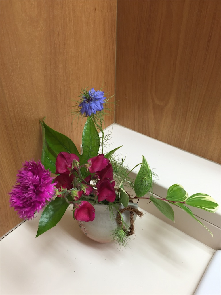f:id:odayakabiyori:20160521131602j:image f:id:odayakabiyori:20160521131602j:image