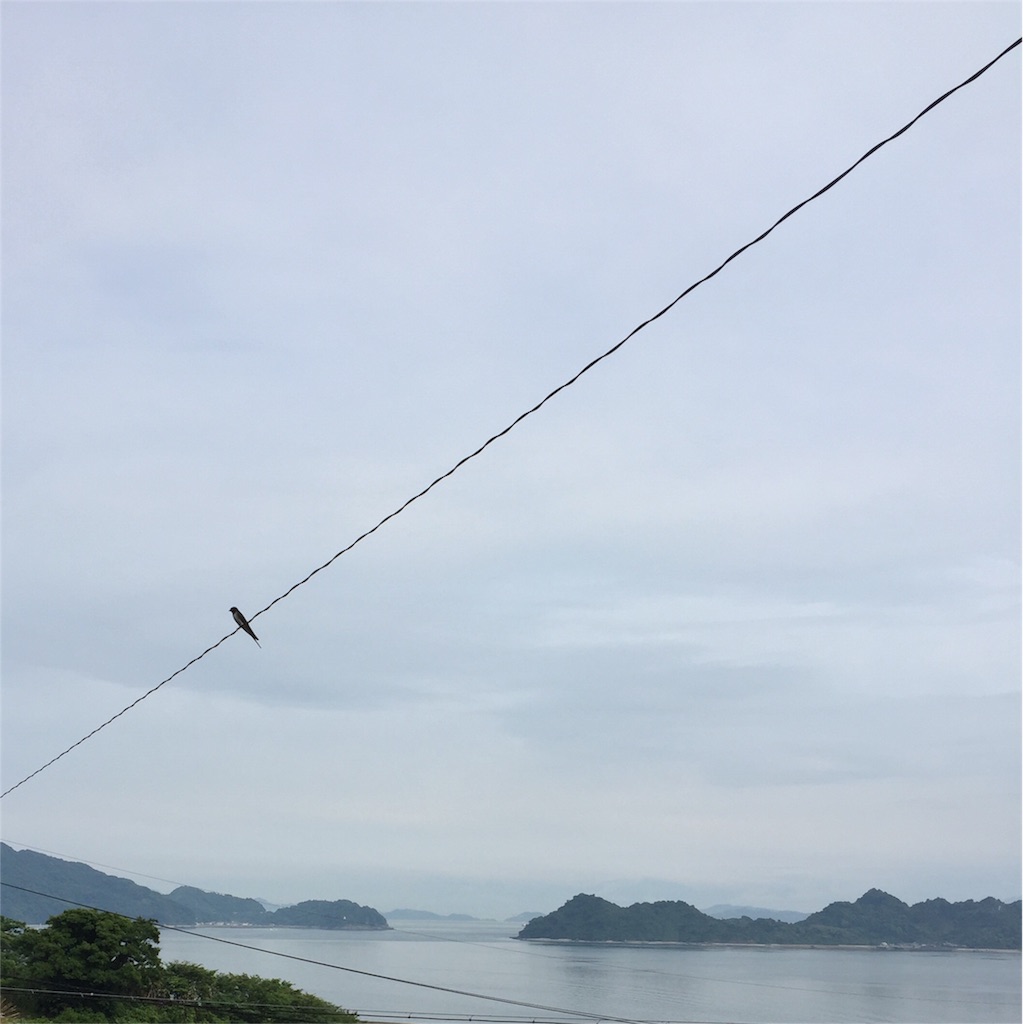 f:id:odayakabiyori:20160615144820j:image f:id:odayakabiyori:20160615144820j:image