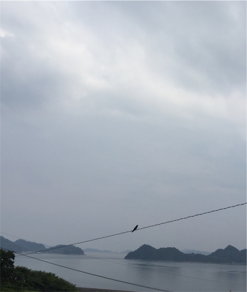 f:id:odayakabiyori:20160615153646j:image f:id:odayakabiyori:20160615153646j:image