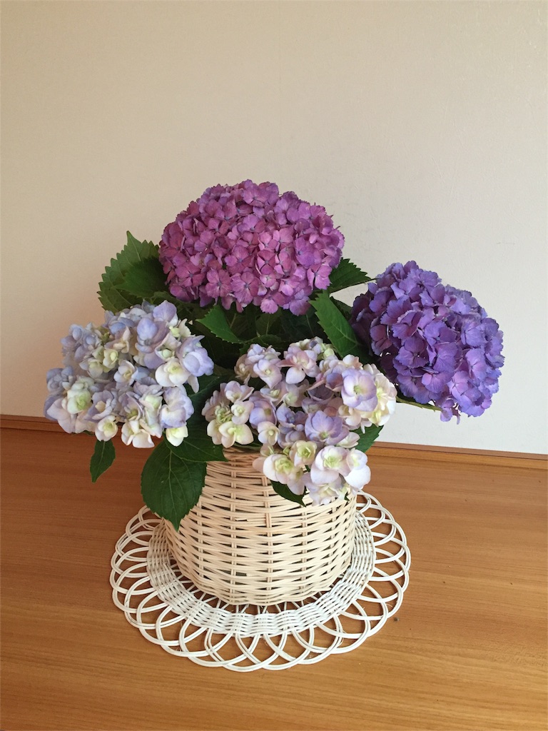 f:id:odayakabiyori:20160623150802j:image f:id:odayakabiyori:20160623150802j:image