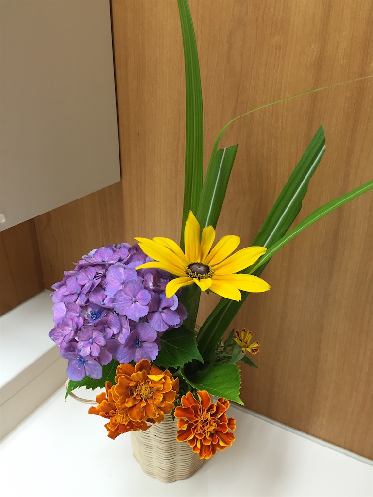 f:id:odayakabiyori:20160624203044j:image f:id:odayakabiyori:20160624203044j:image