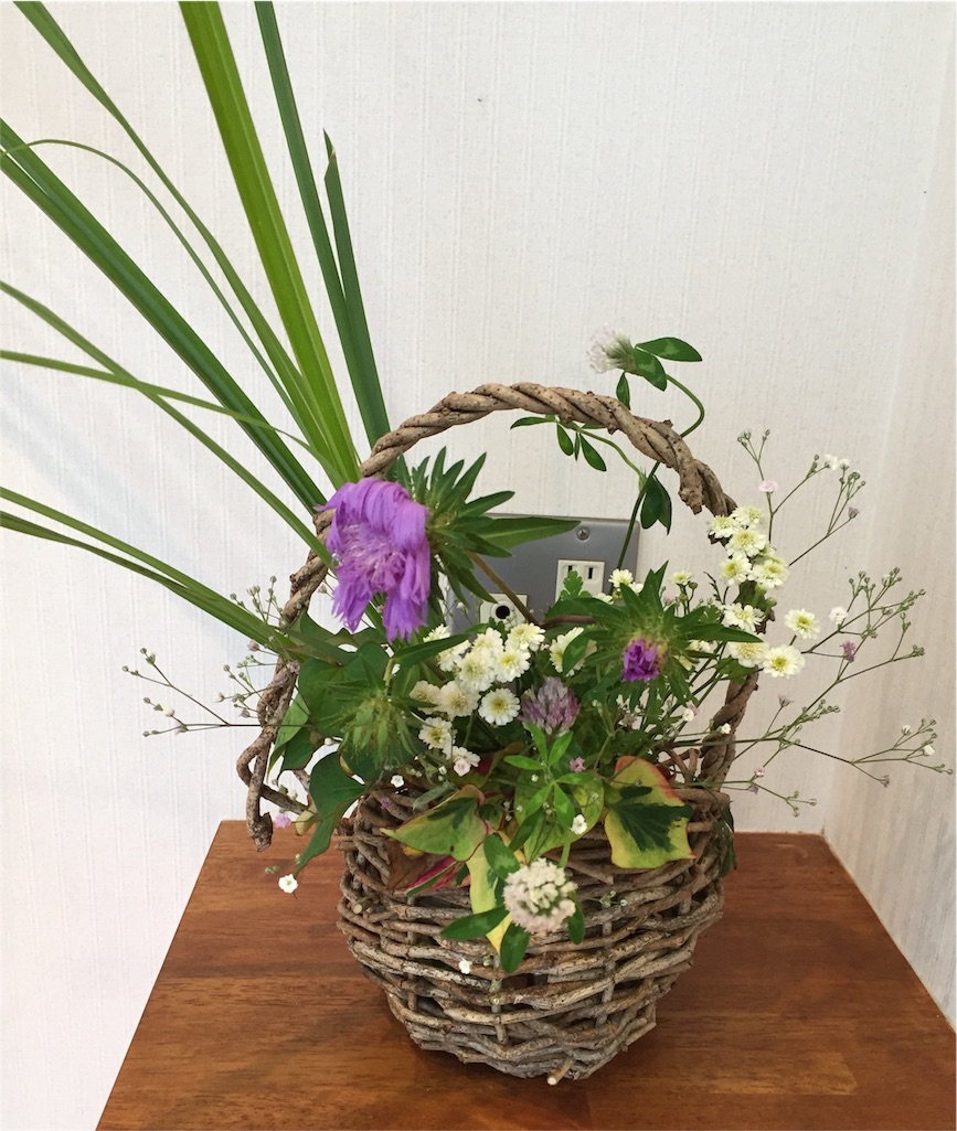 f:id:odayakabiyori:20160624205810j:image f:id:odayakabiyori:20160624205810j:image