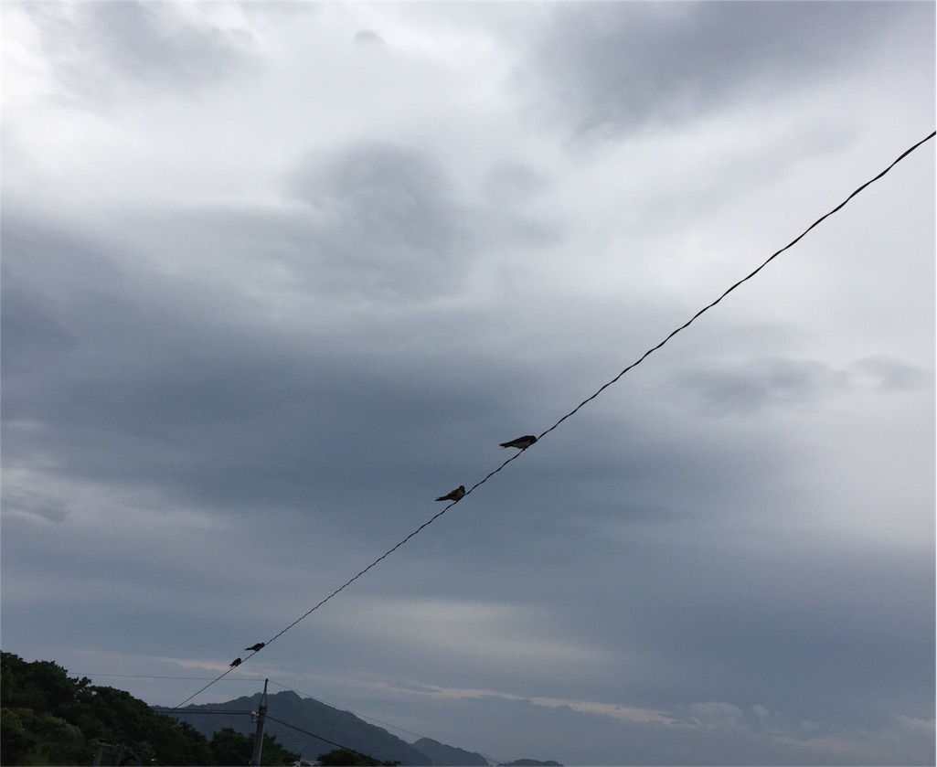 f:id:odayakabiyori:20160625170829j:image f:id:odayakabiyori:20160625170829j:image