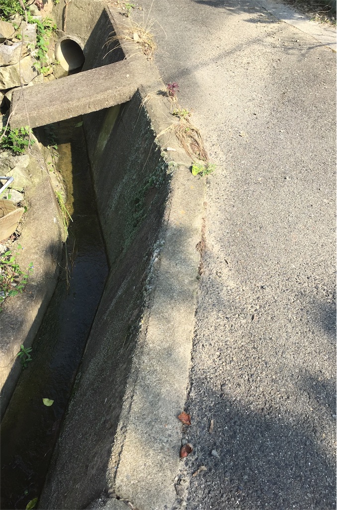 f:id:odayakabiyori:20160627171515j:image f:id:odayakabiyori:20160627171515j:image