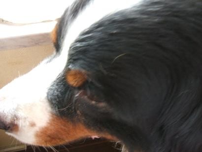 f:id:ogamo:20100716145108j:image f:id:ogamo:20100716145108j:image