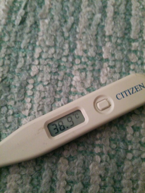 f:id:ogaryohey:20150813041712j:plain