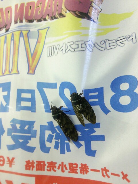 f:id:ogaryohey:20150813041725j:plain