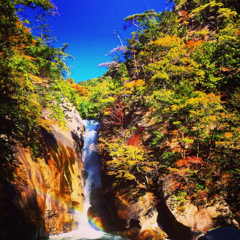 f:id:ogataka50:20141103105147j:plain f:id:ogataka50:20141103105147j:plain