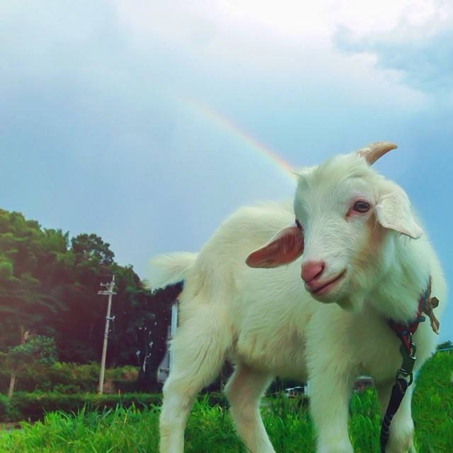 f:id:ogataka50:20141123151535j:plain f:id:ogataka50:20141123151535j:plain