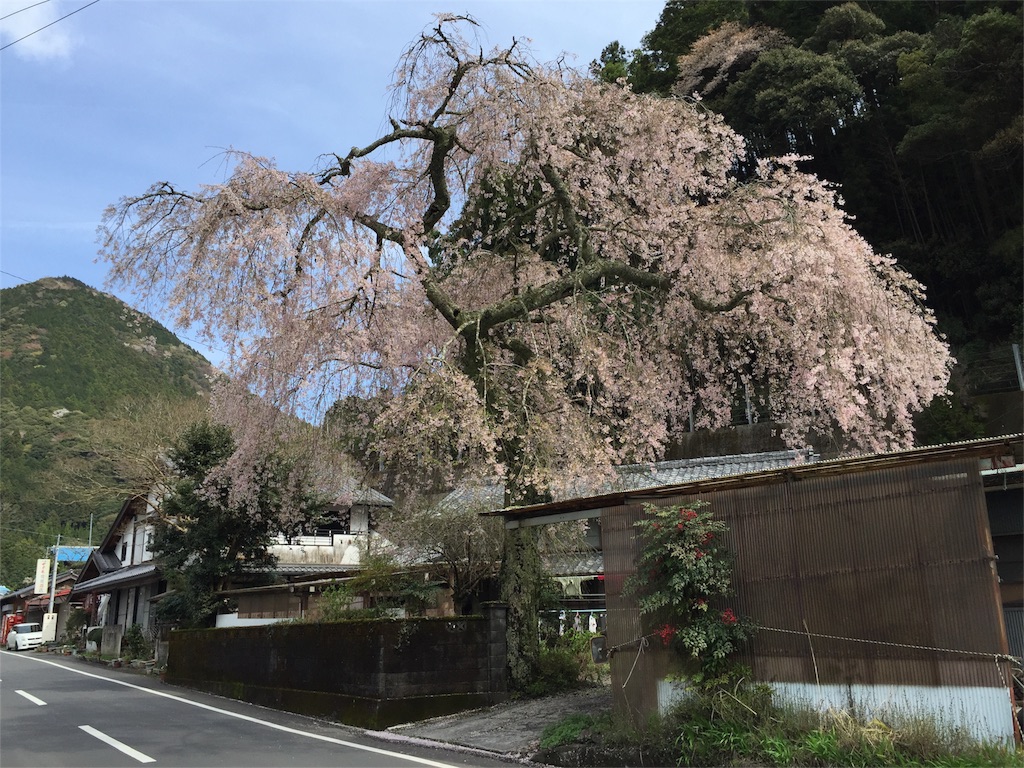 f:id:ogawork123:20160411111651j:image f:id:ogawork123:20160411111651j:image