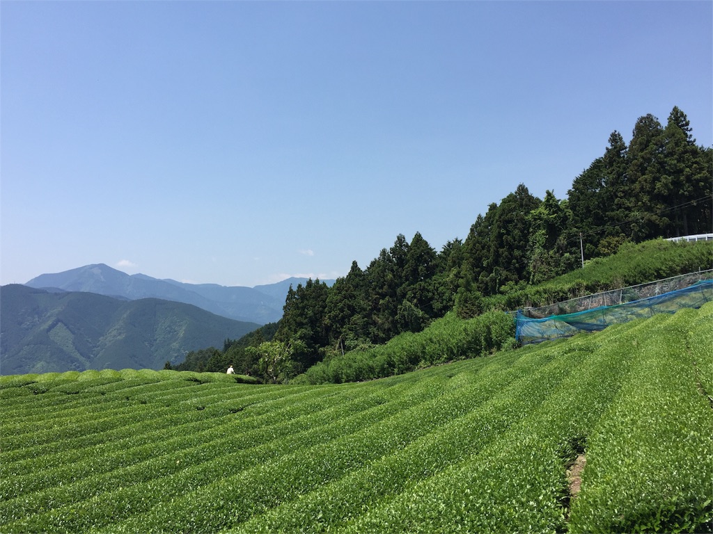 f:id:ogawork123:20160522170625j:image f:id:ogawork123:20160522170625j:image
