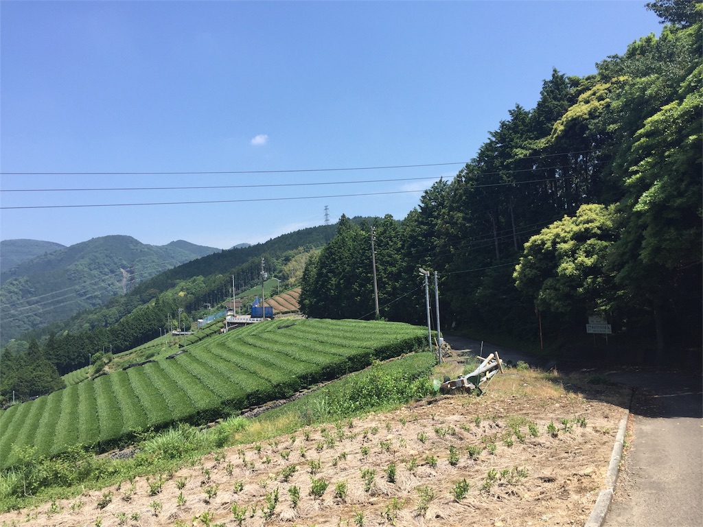 f:id:ogawork123:20160529201247j:image f:id:ogawork123:20160529201247j:image