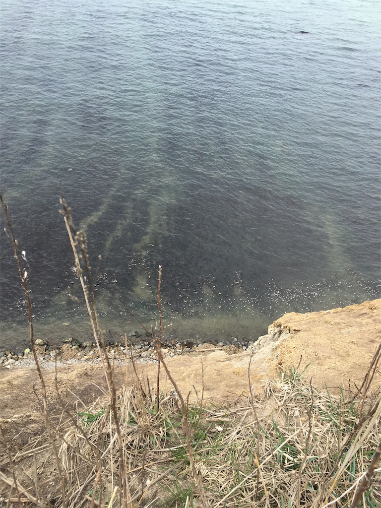 f:id:ohataseiji:20160430103927j:image f:id:ohataseiji:20160430103927j:image