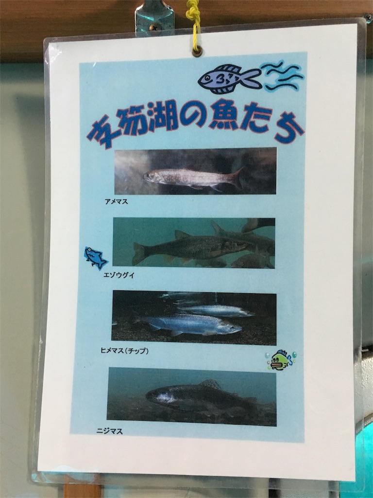 f:id:ohataseiji:20160511131622j:image f:id:ohataseiji:20160511131622j:image