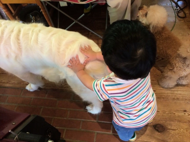 f:id:ohilune:20140720205003j:plain f:id:ohilune:20140720205003j:plain