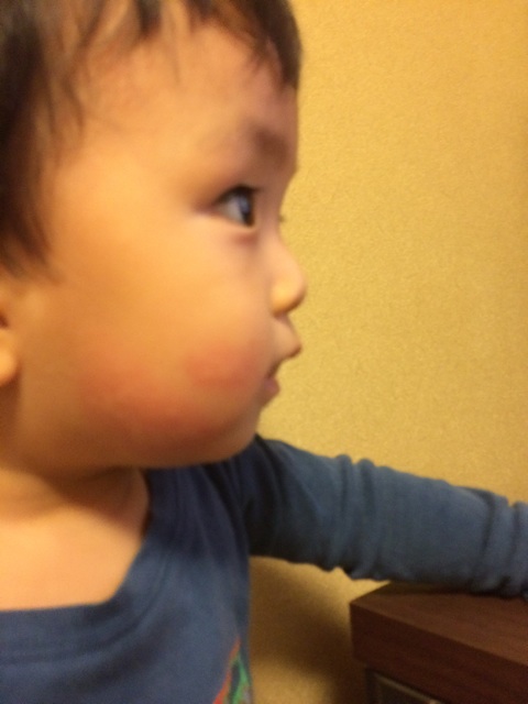f:id:ohilune:20140827202927j:plain f:id:ohilune:20140827202927j:plain