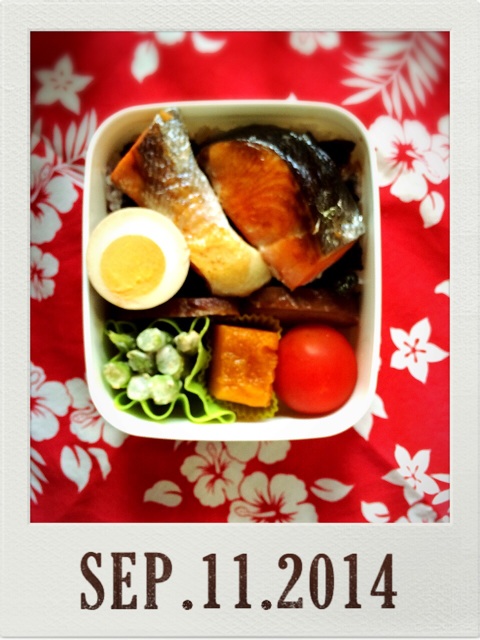 f:id:ohilune:20140911163217j:plain f:id:ohilune:20140911163217j:plain