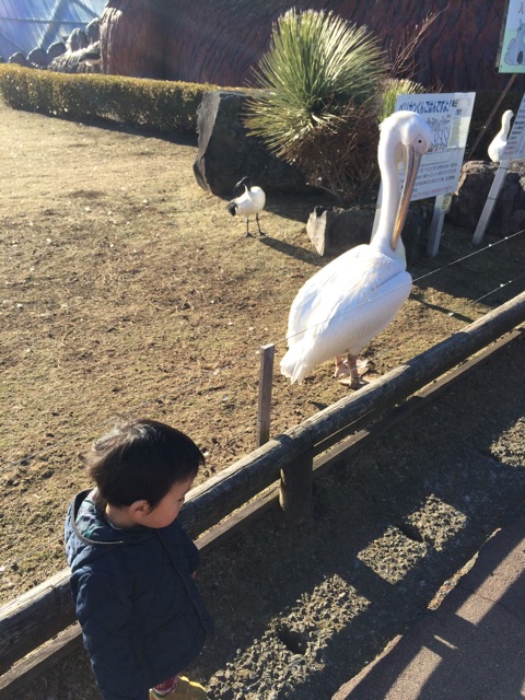 f:id:ohilune:20150115180204j:plain f:id:ohilune:20150115180204j:plain