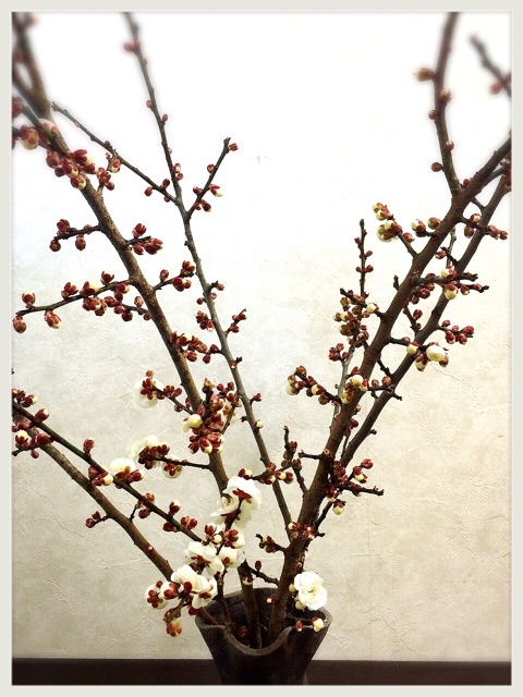 f:id:ohilune:20150213074455j:plain f:id:ohilune:20150213074455j:plain