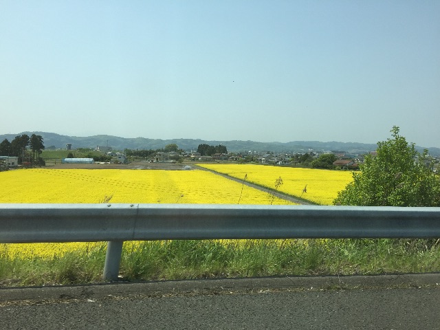 f:id:ohjizo3:20150502222442j:image f:id:ohjizo3:20150502222442j:image