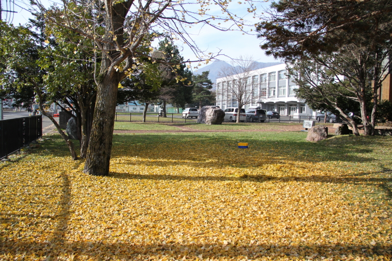 f:id:ohki_furano:20141025223016j:plain f:id:ohki_furano:20141025223016j:plain